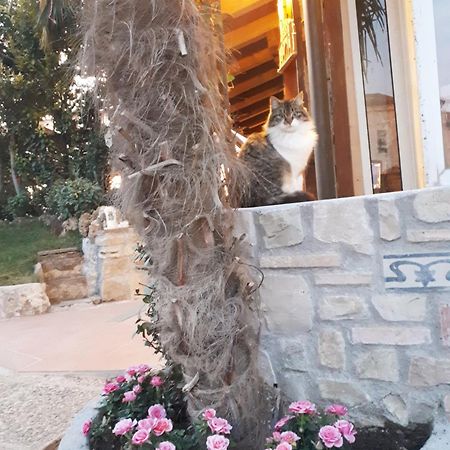 Bed and Breakfast Perla Gussago Exterior foto